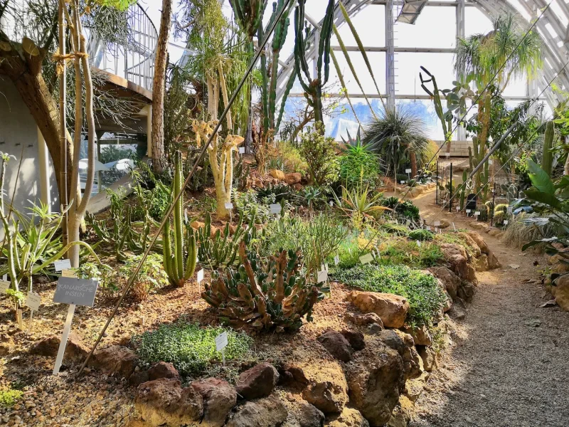 Der Botanische Garten – grüne Oase für Radler:innen mit Fernweh